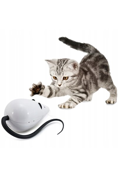 NO BRAND PetSafe RoloRat jucărie interactivă pentru pisici, șoricel