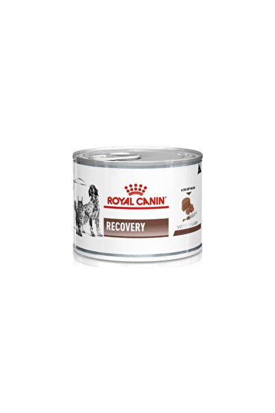 Royal Canin Recovery Pate Yoğun Bakım Maması 195 gr