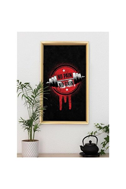 Generic Brand 'IN00257-No Pain No Gain' Digitally Printed Wall Poster with Ph...
