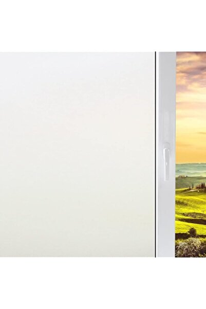 Generic Brand BPA® Frosted Window Privacy Film Heat Control UV Sun Blocking G...