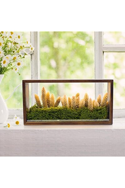 Generic Brand 10x5 LED Shadow Box Frame, Rustic Wooden Memory Display Case, 3...