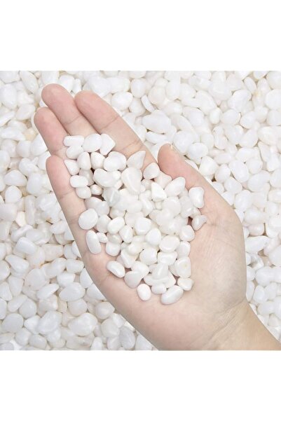Generic Brand 9.7 lbPebbles Polished Gravel-Aquarium Gravel River Rock,Natura...