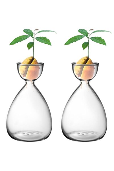Generic 2pcs Small Avocado Seed Starter Vase, Avocado Tree Growing Kit, Avoca...