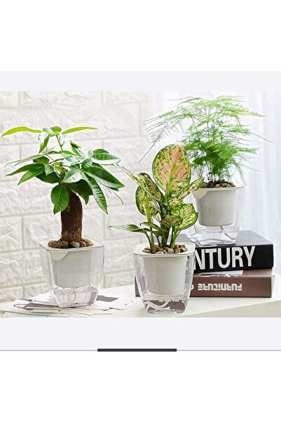 Generic White Square Double Pots Self Watering Planter, 3 Pack 4.1 Inch Flowe...