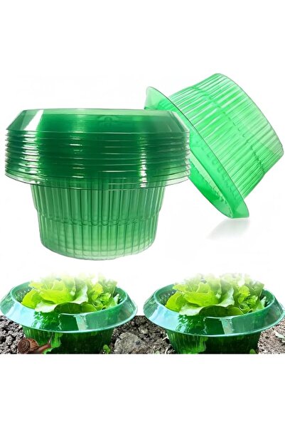 Generic 12 Pcs Plastic Slug Collars, 20CM x 12CM Garden Plant Cloches, Slug a...