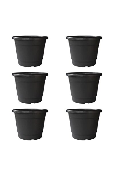 Generic TrustBasket Bhuvi Round Plastic Pots 12 (Black) Set of 6 | Heavy Duty...