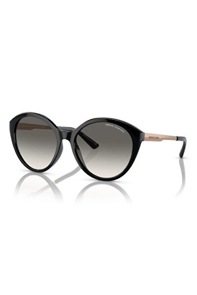 Armani Exchange Güneş Gözlüğü AX4134S 55 815811