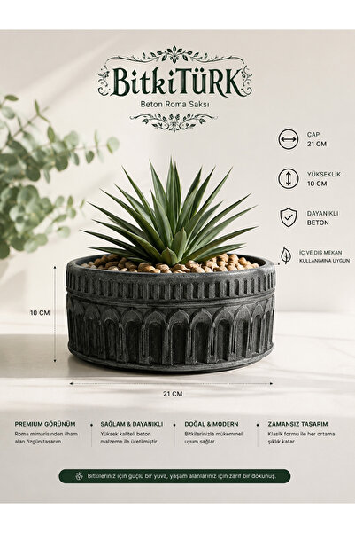 BitkiTÜRK Roma Saksı Beton Bonsai ve Çiçek saksısı ömürlük