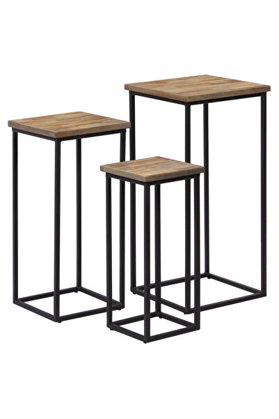 Concept Set de mese pentru plante, 3 piese, lemn de tec reciclat