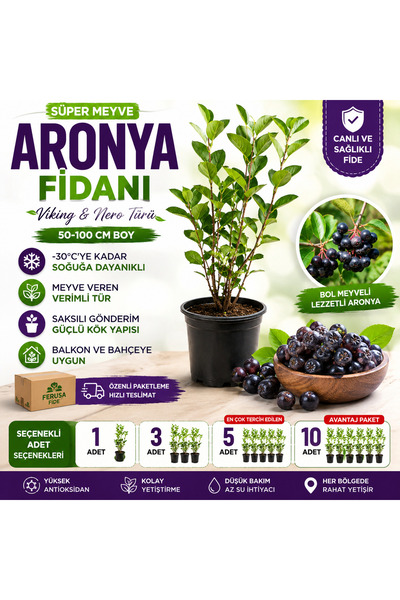 Ferusa Fide 10 Adet Avantajlı Paket Aronya Fidanı Saksılı 50-100 cm Boy Soğuğ...
