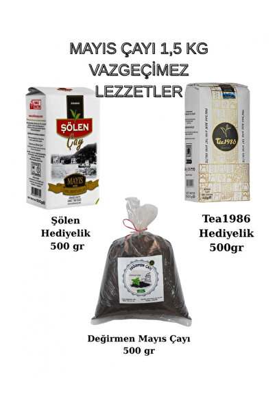 ÇAYLAR AVM Mayıs Çayı Seti Tea1986, Şölen ve Değirmen Çayı 3’lü İlk Hasat (3 ...