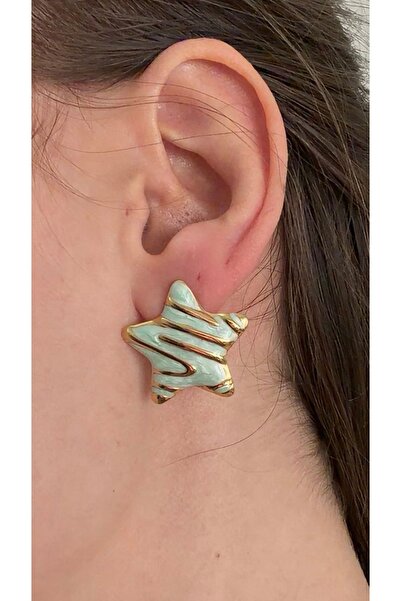 LUMİCOTAKI Steel Inoxidable Gold Silver Earrings |   Gift Boxed