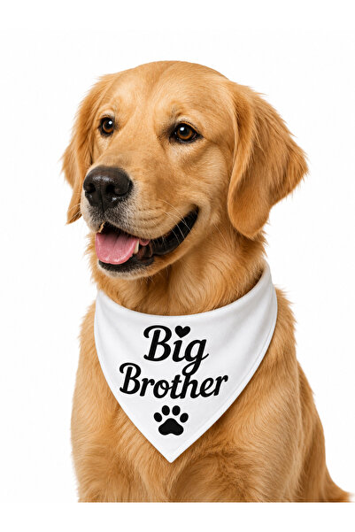 LIWOGY باندانا وشاح للكلاب مكتوب عليها Big Brother & Big Sister