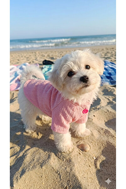 PATİZİSHOP Trend Pati̇ler Pet Shirt
