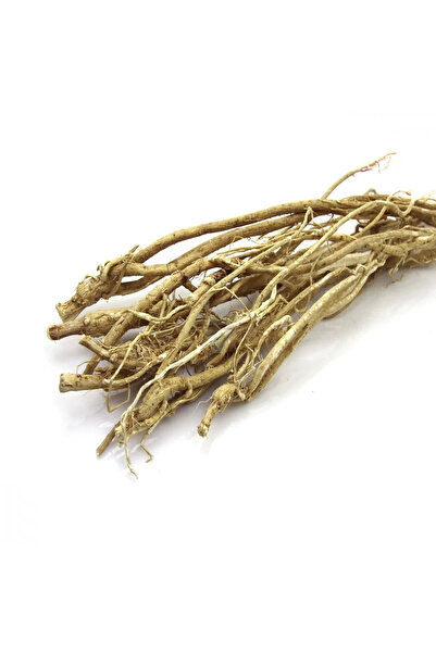 Naturdan Çin Geveni 50 gr Geven Otu Astragalus