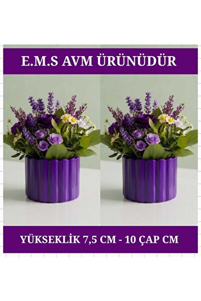 E.M.S AVM 2 ADET MOR RENK ÇUBUK DESEN SAKSI SUKULENT MENEKŞE SAKSISI DEKORATİ...