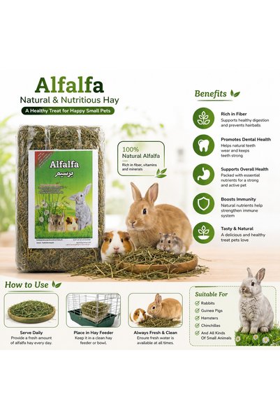 Alfalfa Natural Small Animal Food - 1kg | Barseem Hay for Rabbits, Guinea Pigs, & Chinchillas
