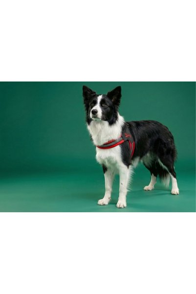 Tailpetz V-Type Dog Chest Harness - Soft Textured Red