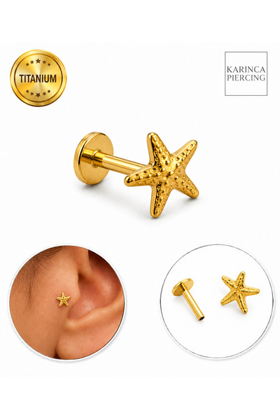 Karınca Piercing %100 Titanyum Piercing Deniz Yıldızı Forward Helix Kulak Lab...