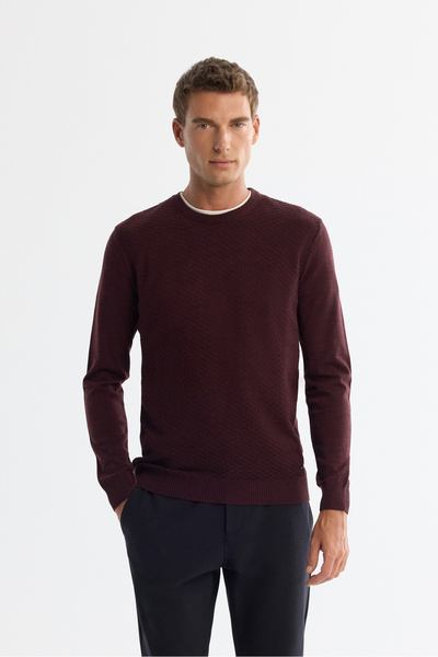 Avva Men's Burgundy Crew Neck Textured Knitwear Regular Fit Sweater E005109