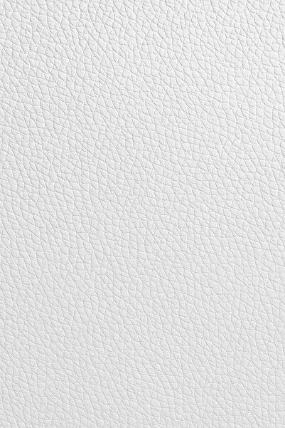 NEW Christian Louboutin Miss z 60 Womens