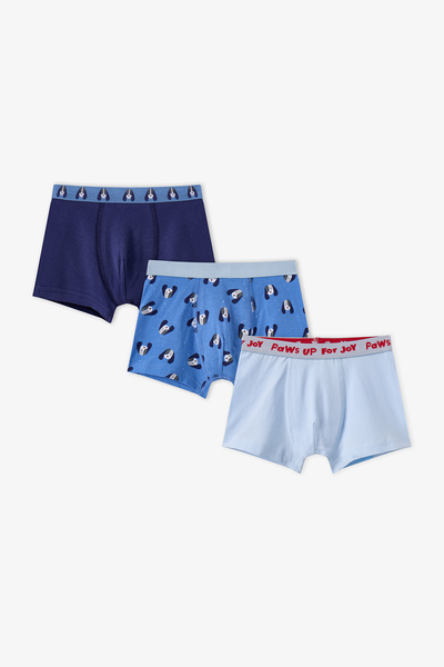 Penti Erkek Çocuk Mavi Paws For Joy Pamuklu 3'lü Boxer