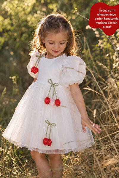 Eray Kids Girl's Tulle Detailed Appliqued Princess Dress – Special Occasion &...