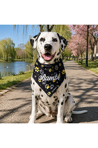 PATİMİO Isme Özel Kedi Ve Köpek Gold Stars Tasma Fular Bandana