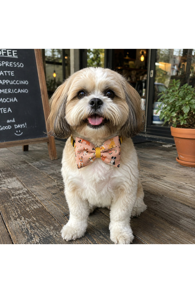 PATİMİO Dogs Ayarlanabilir Kedi Köpek Papyonu