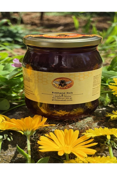 polenzabal Artvin Borçka Hakiki Kestane Balı 500 gr | Doğal ve Katkısız