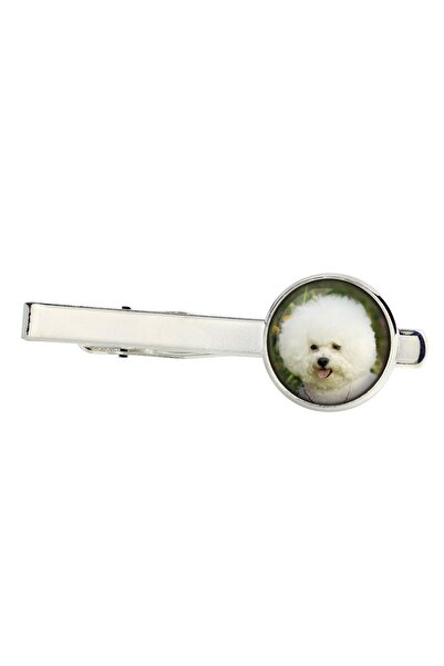 Art - Dog Bichon Frise, Bichon Tenerife - ac de cravată, ornament, bijuterii ...