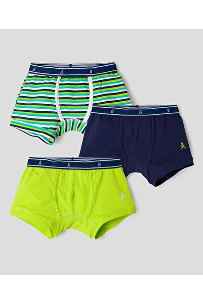 Pine kids Cotton Elastane Trunks With Stripes Pack Of 3 (Colour May Vary)