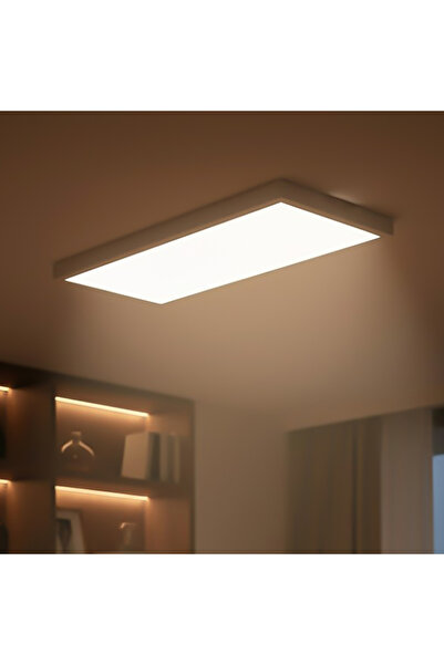 DELIGHT Panou LED Aplicat cu iluminare din spate 24W, 2160 Lm, 295x595x40mm, ...