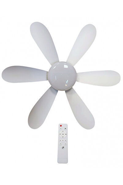 OEM Smart Ceiling Fan with LED Light and Remote Control