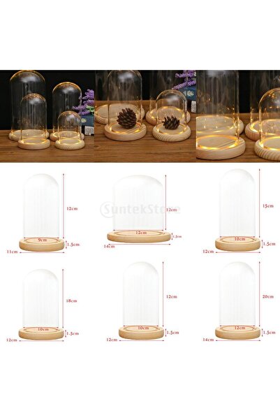 Choice And 12x12cm Microlandscape Clear Glass Display Dome with Wood Base LED...