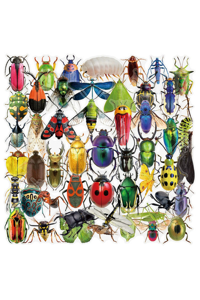 choice2 50Pcs 10/30/50pcs Retro Transparent Cartoon Insect Beetle Graffiti St...