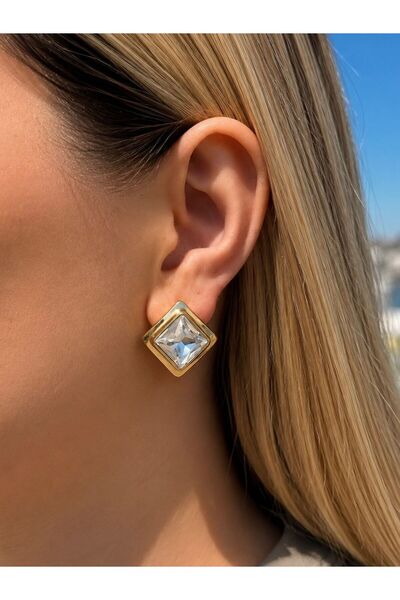 Charmist Steel Crystal Earrings