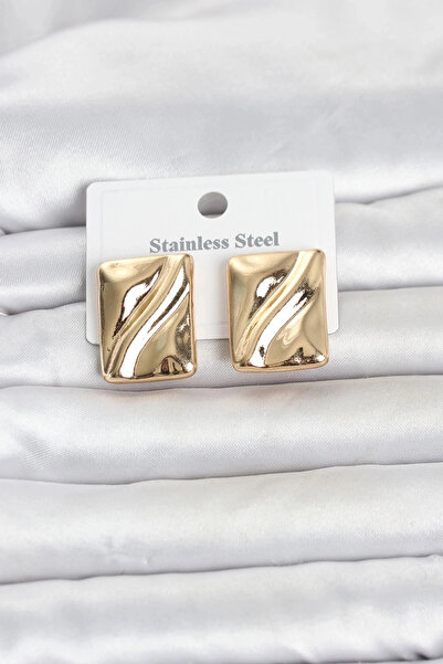 Generic Brand Mey Import ®   316L Steel Gold Color Plate Model Women's Earrings