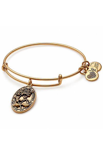 Alex and Ani Bratara Metal A16EB14RG