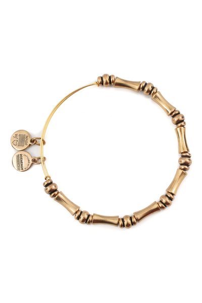 Alex and Ani Bratara Metal BBEB110RG