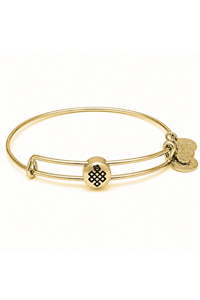 Alex and Ani Bratara Metal SSEWB06G