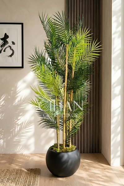 Cihan Çiçekçilik Küre Saksılı 170 cm Yapay Bambu Areka Ağacı