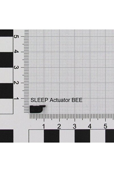Nintendo ACT/SLEEP (K1) BEE