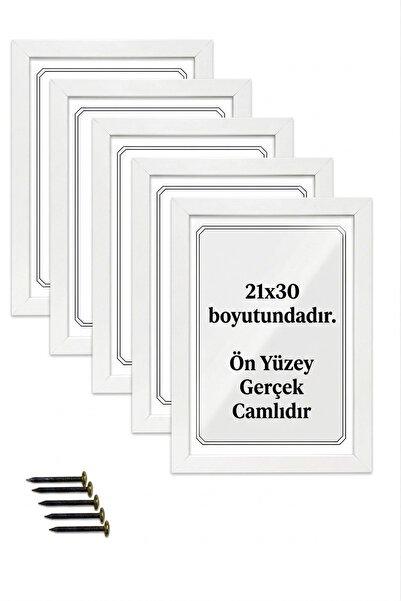 Flaneur Camlı 5li A4 21x30 Poster Tablo Sertifika Poster Çerçevesi