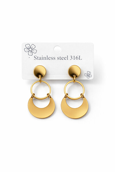 Bozhi Steel Earrings 79 Silver Special Gift Gold
