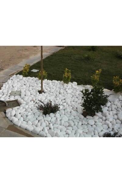 Genel Markalar Beyaz Dolomit 25 Kg 2,5-4 Cm Dolamit Taşı Dere Çakıl Taşı Bahç...