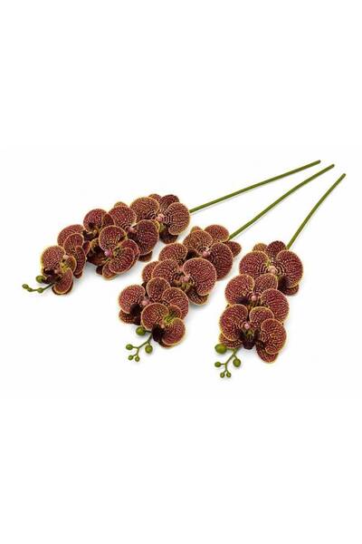 OEM Orhidee artificiala 9 flori 16 Verde-Grena