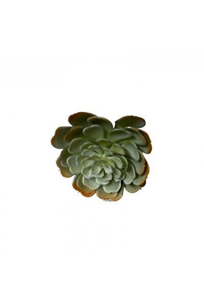 OEM Plante Suculente Artificiale Floare Tepi