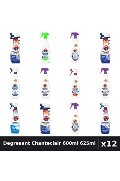 Chanteclair Set 12 Degresant Universal 600-625ml - 8 Arome Asortate Curatenie