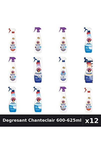 Chanteclair Set 12 Degresant Universal 600-625ml - 7 Arome Asortate Curatenie...
